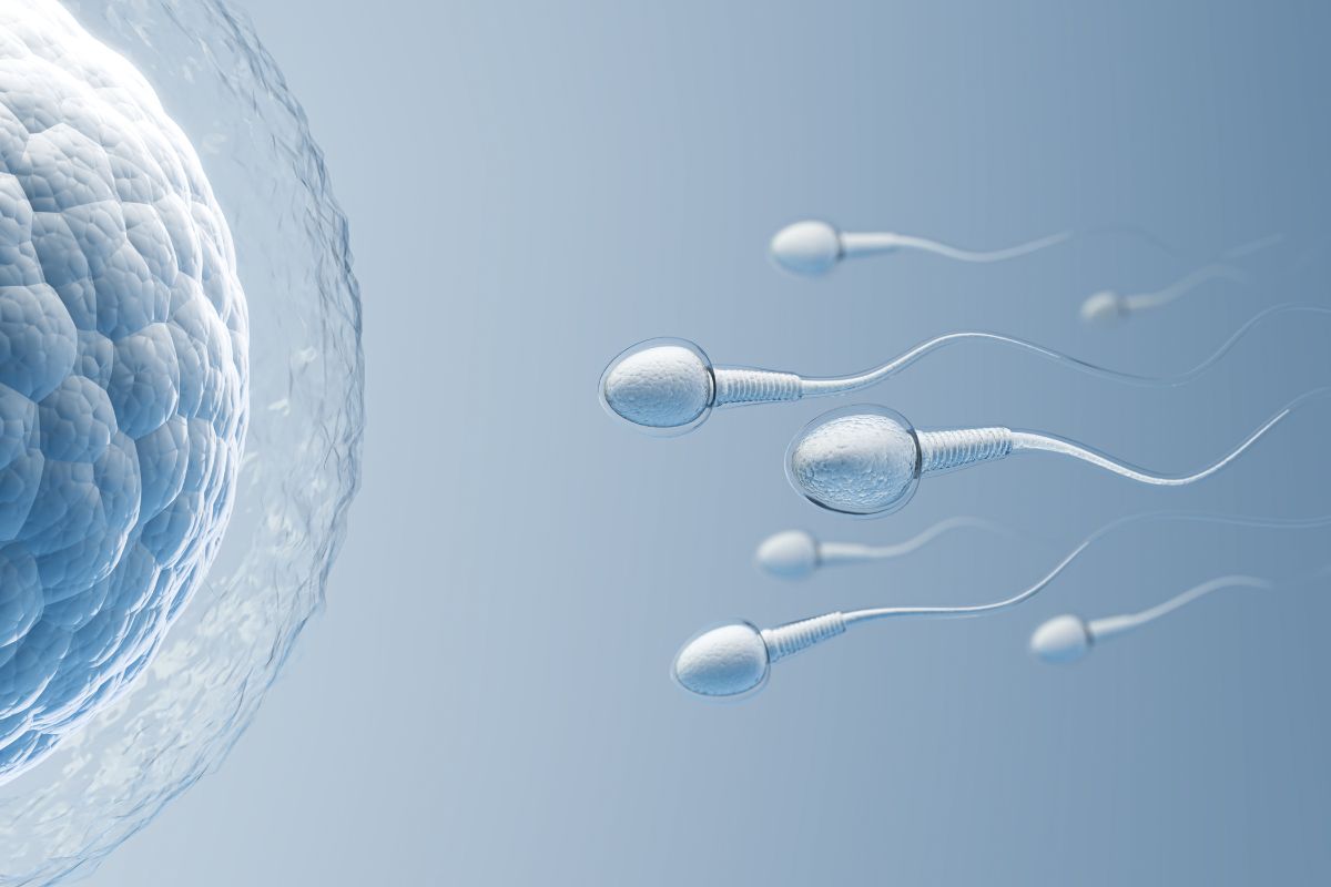 The FertilityâCellular Health Connection No One Talks About