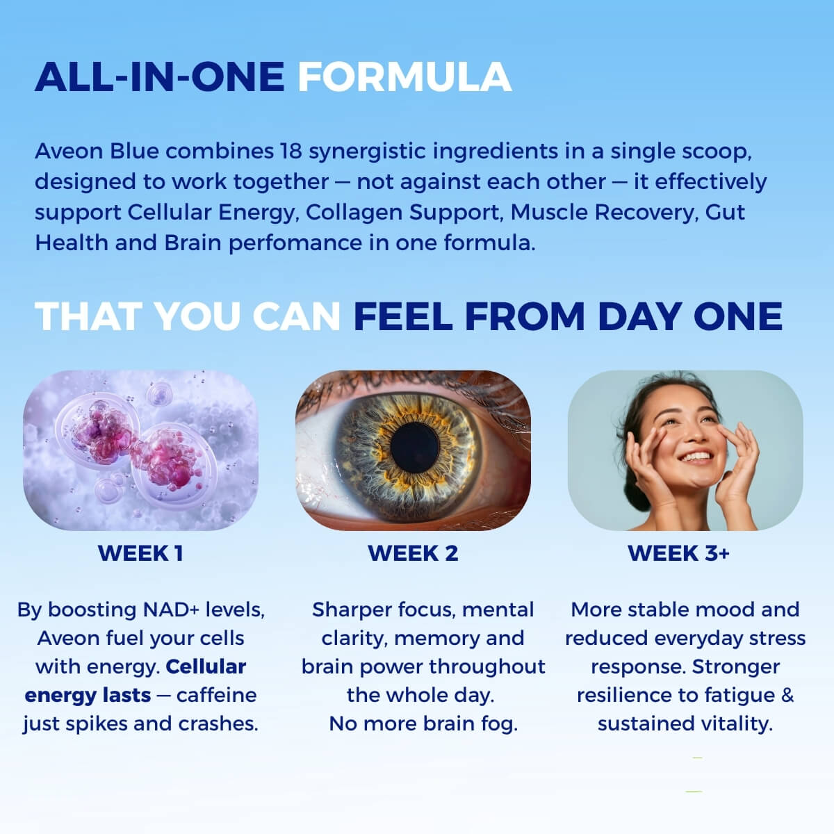 Daily Longevity Powder: All-In-One-Supplement