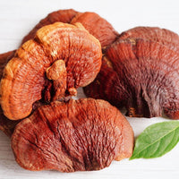 Reishi