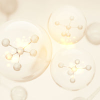 Nicotinamide Riboside