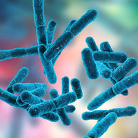 Pre & Postbiotics